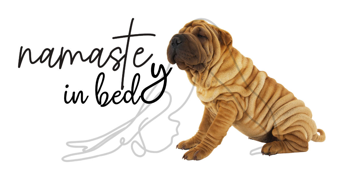 Ksteel Oy:n Teräspedia-artikkeli teräsputken taivutusvirheistä ja rypistymisestä. Canvalla tehty huumorikuva, jossa ryppyinen Shar pei -pentu ja teksti namaste in bed.